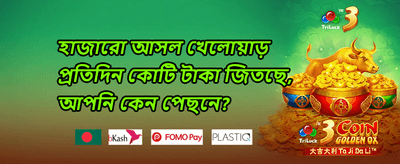 স্লট গেমসের জন্য ফ্রি স্পিন promotional banner